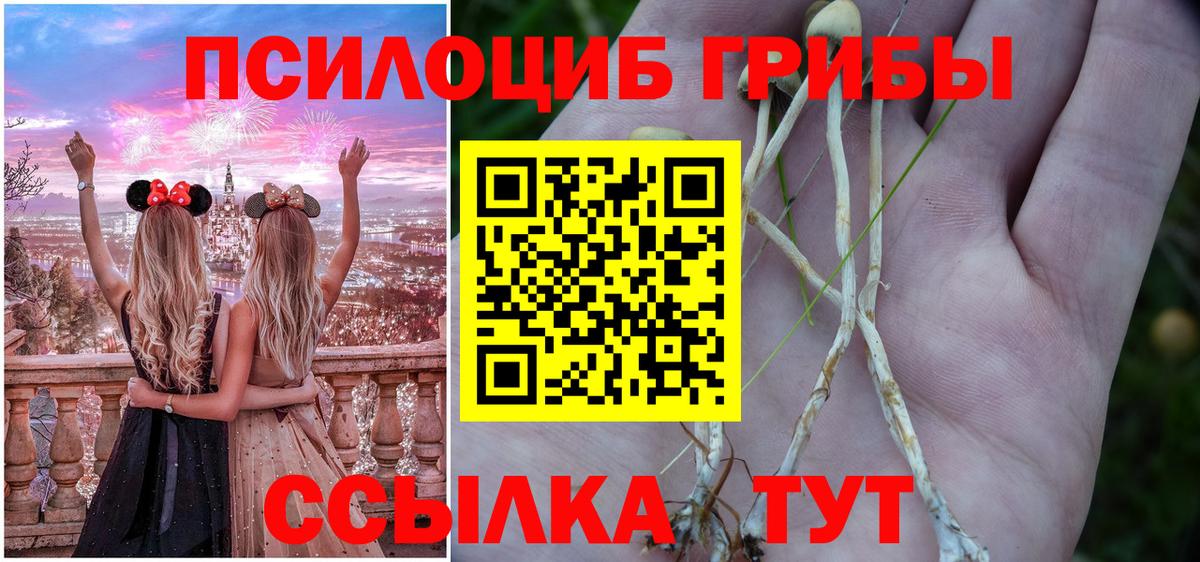 Псилоцибиновые грибы ЛСД  Вход с VPN  Псилоцибиновые грибы мицелий  Кохма 